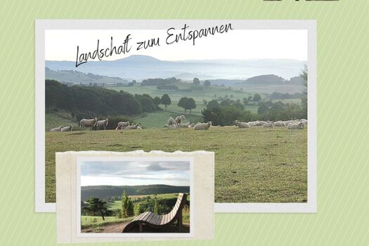 Pure Entspannung in der ruhigen Natur