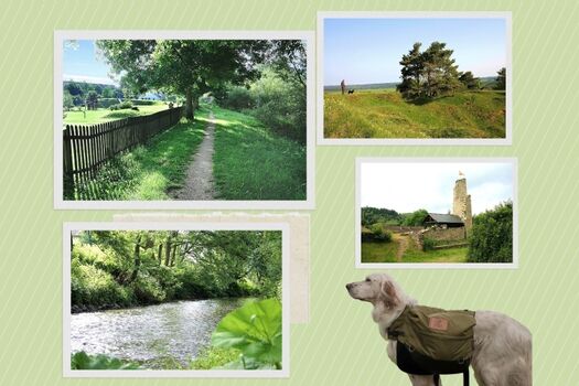 rundum Natur mit idyllischem Pfad an der Kyll entlang 