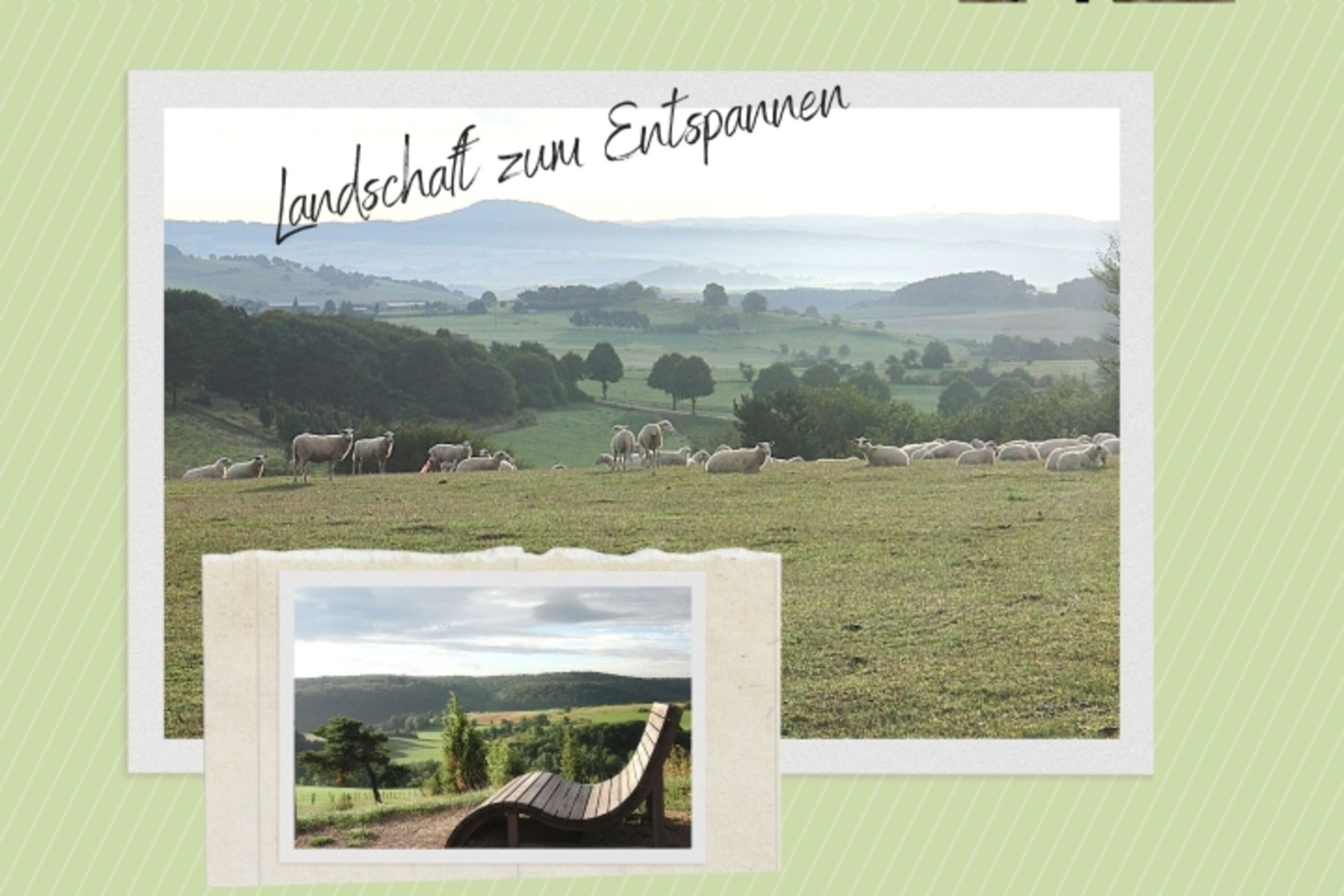 Pure Entspannung in der ruhigen Natur