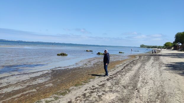 Bewirtschafteter Strandabschnitt (Nebensaison)