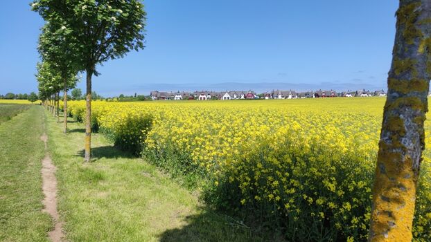 Blick von Zierow-Dorf auf Siedlung "De Poeler Drift"
