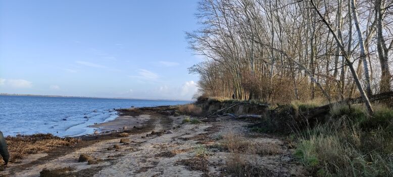 Natur- und Hundestrand bei Zierow - nur 600 Meter vom Haus