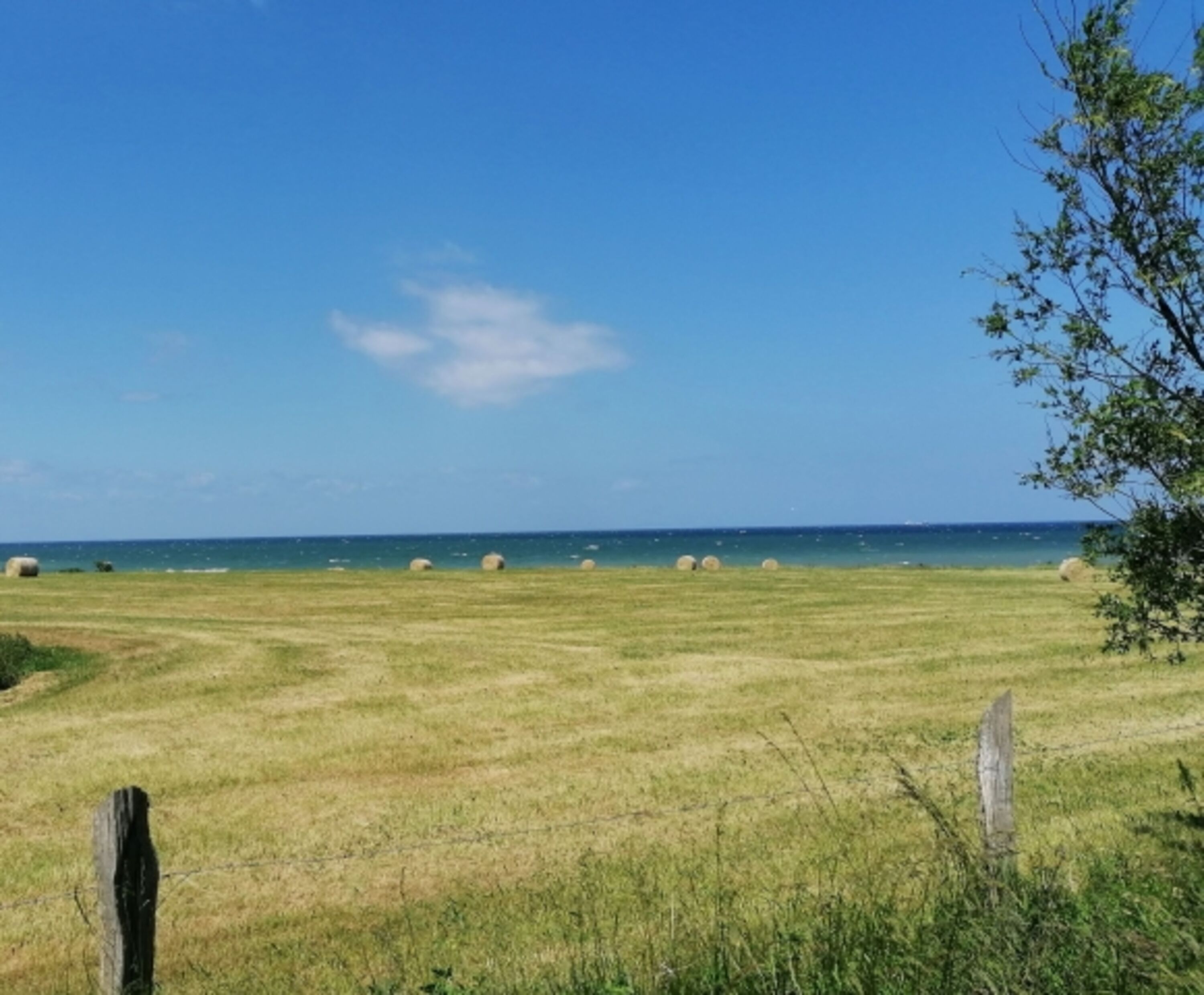 Bild 19
