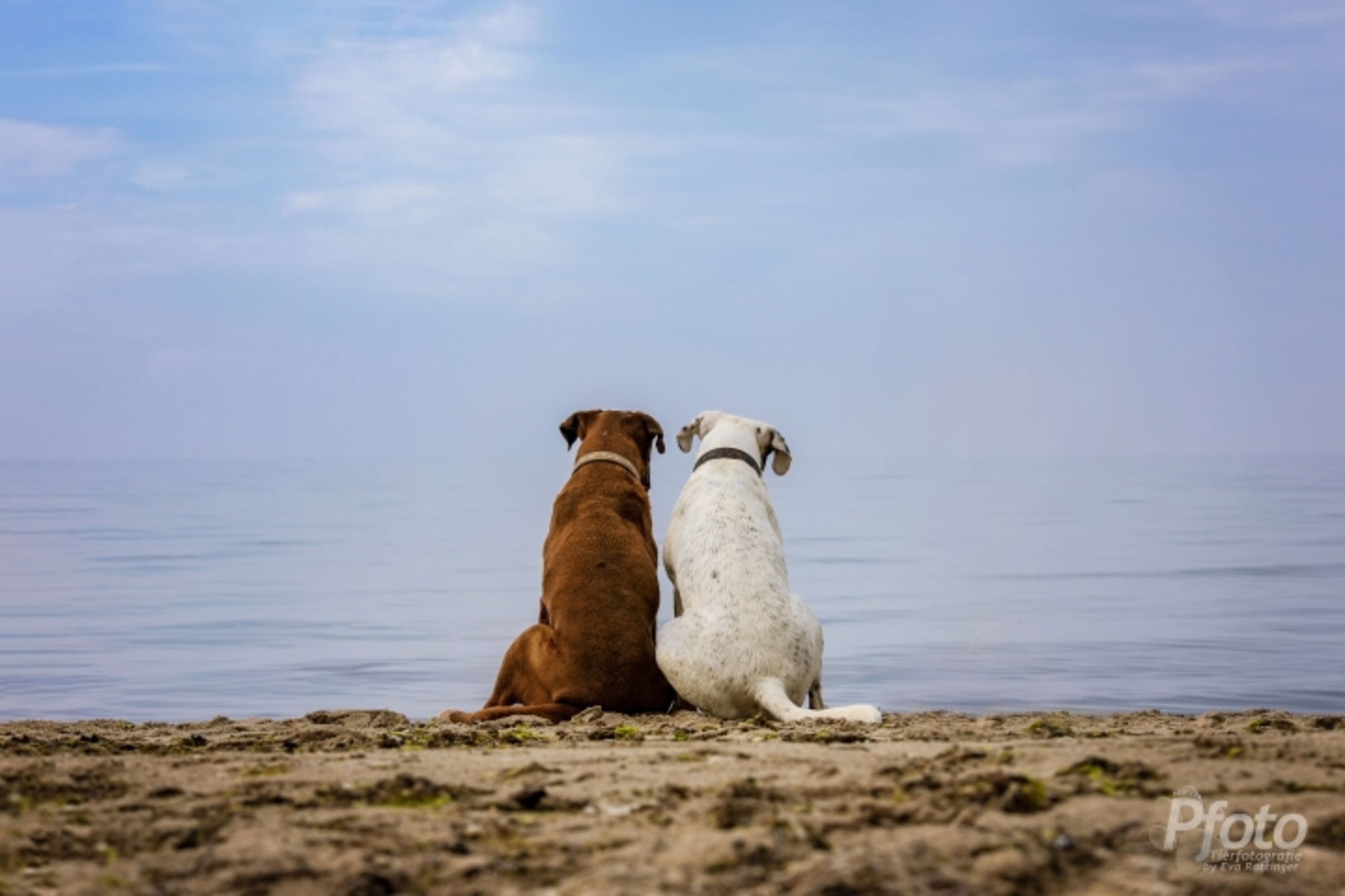 Freundschaft