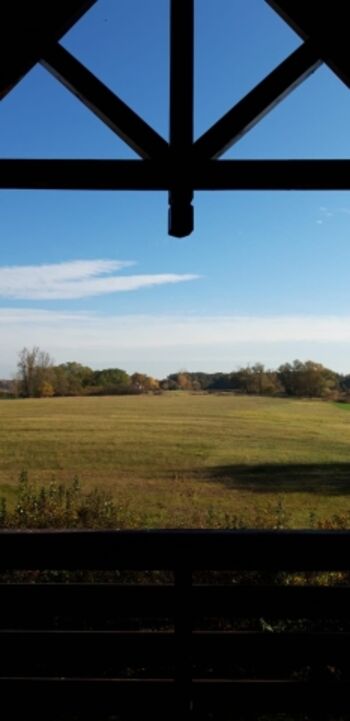 1  OG Blick vom Balkon nach Osten