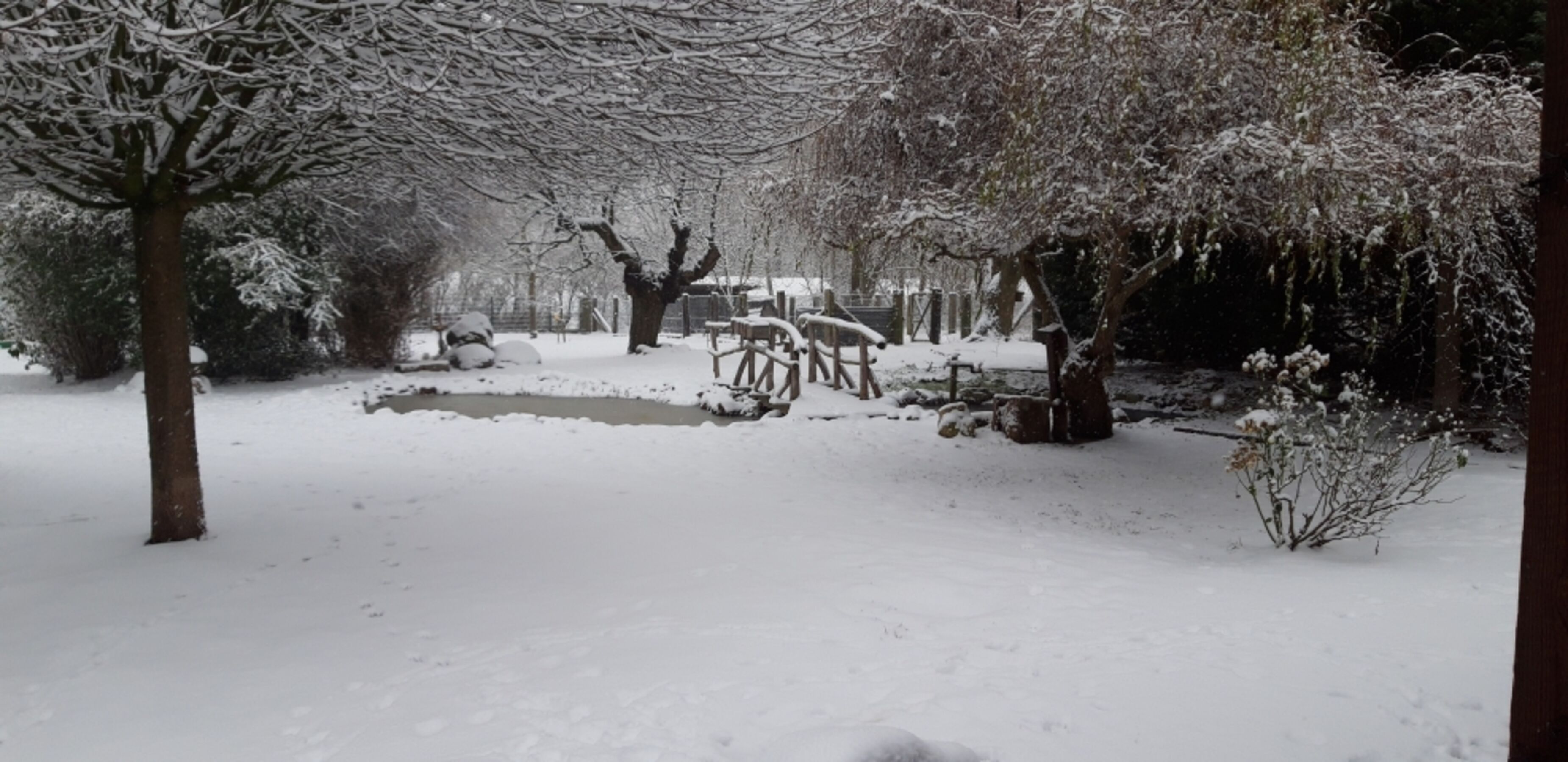 Garten Winterlandschaft
