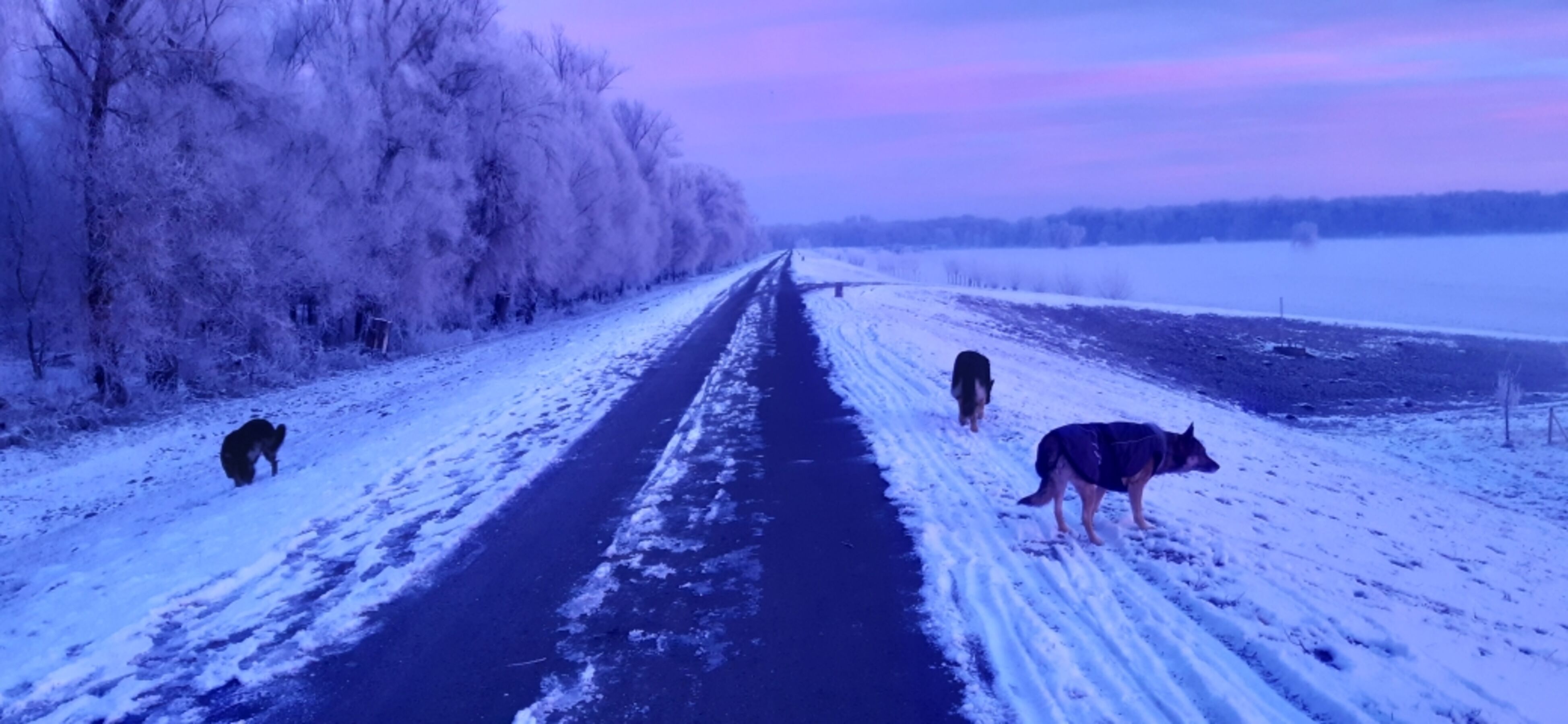 Winterwanderung zum Schlaubedeich, Abzweiger der Oder