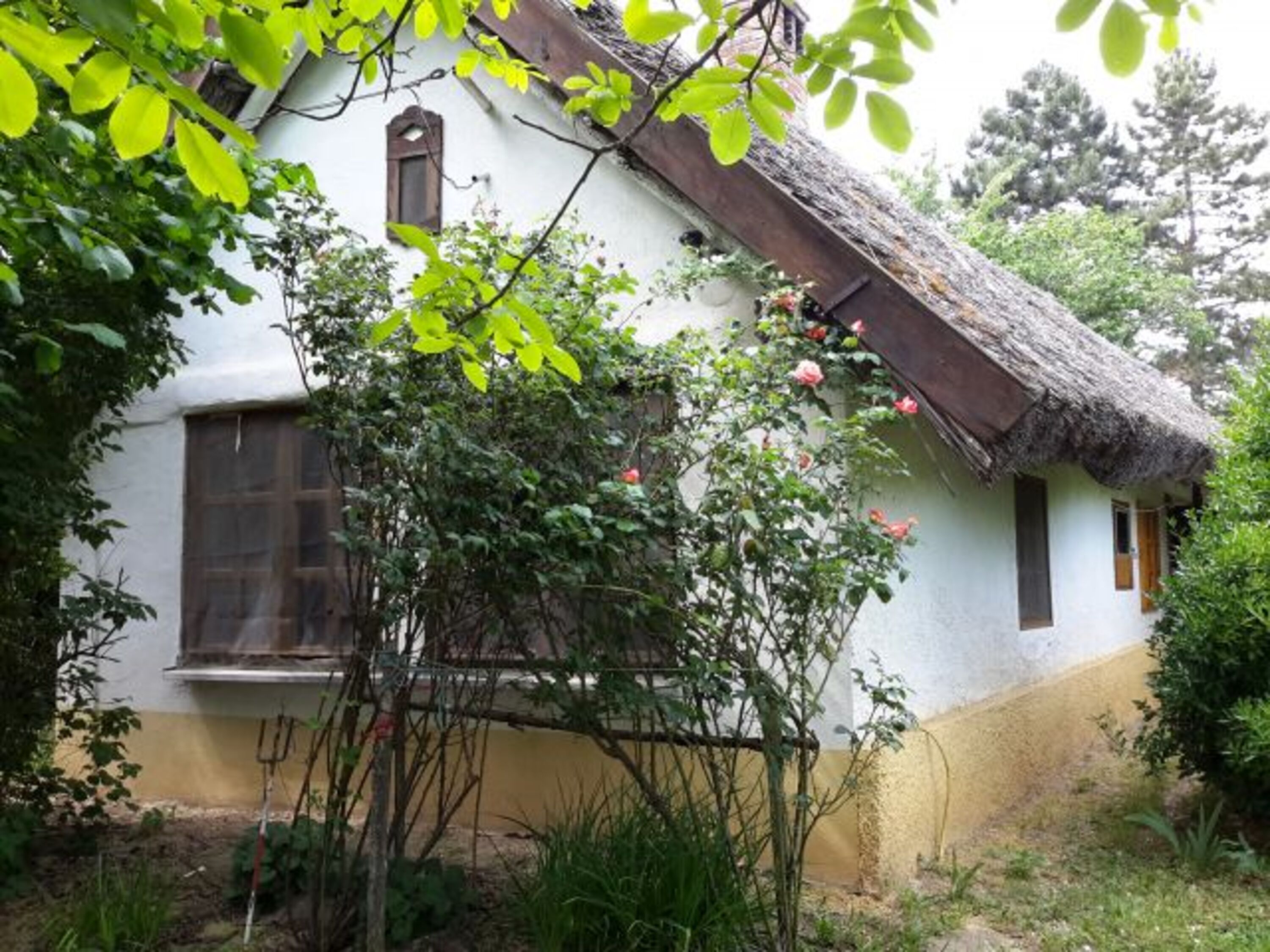 Bild 2