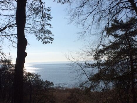 Das Stettiner Haff nur 100 m vom Haus entfernt