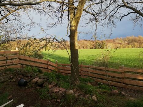 vollständig umzäuntes Grundstück