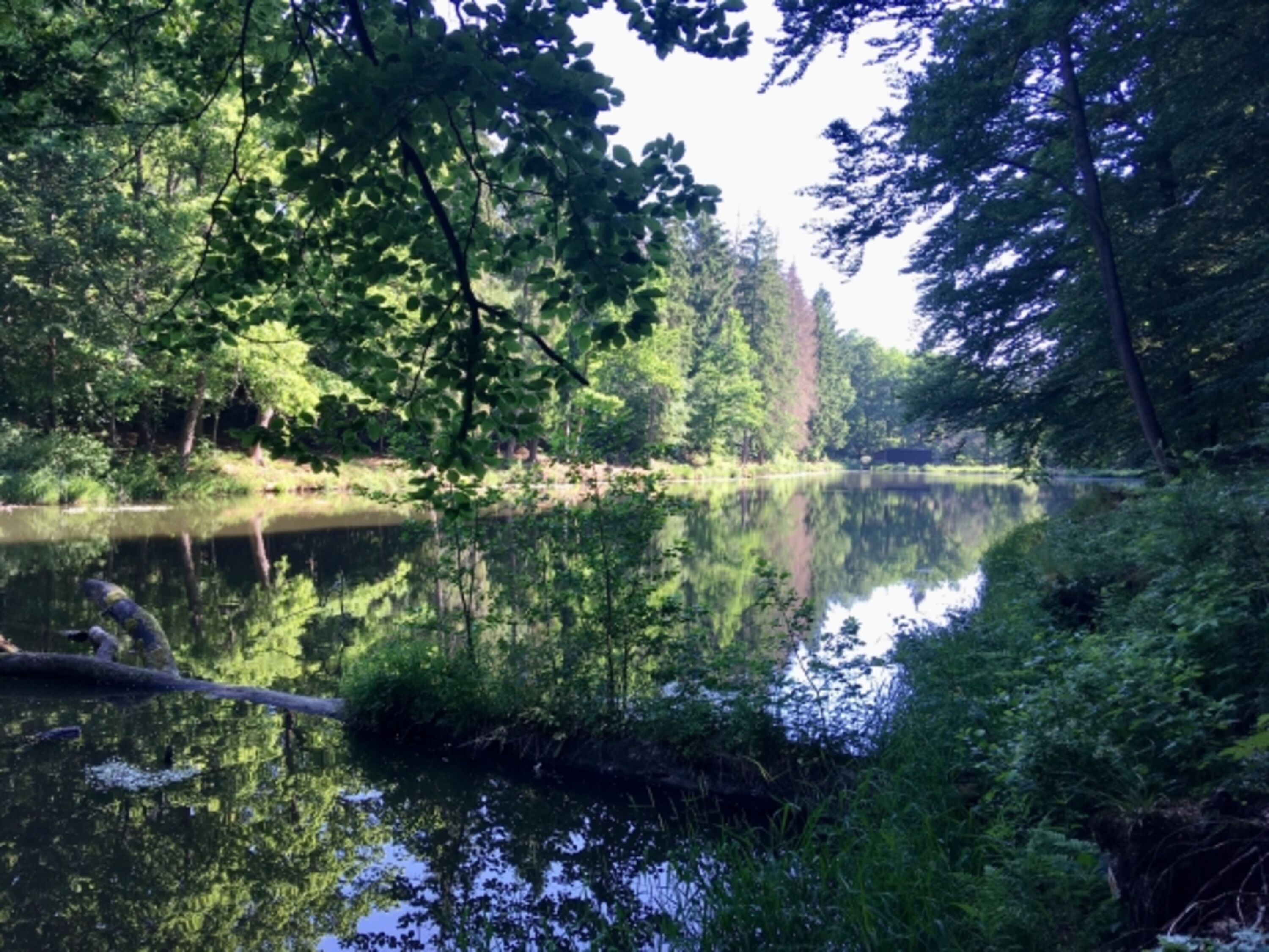 Grenzteich