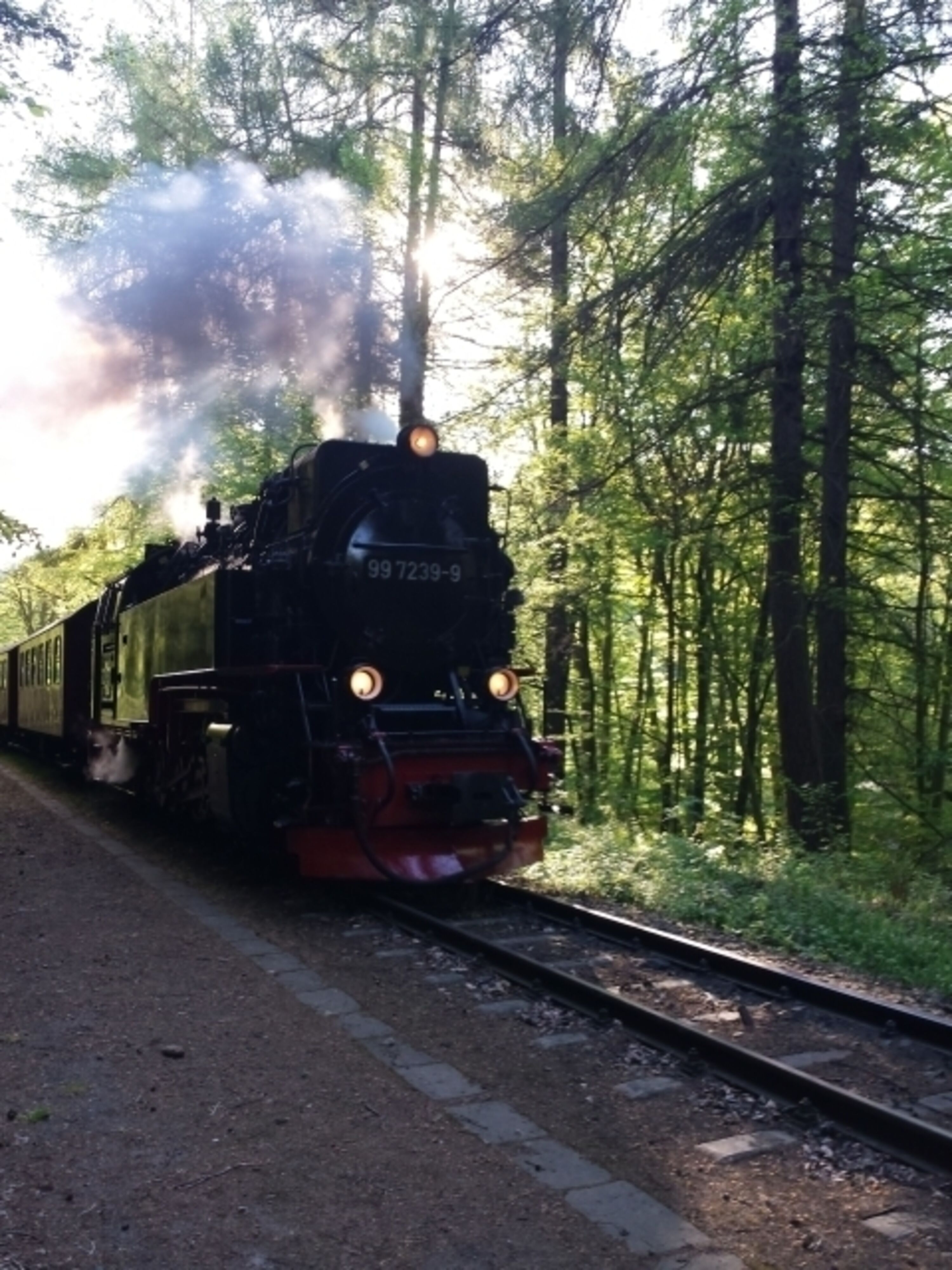 Selketalbahn