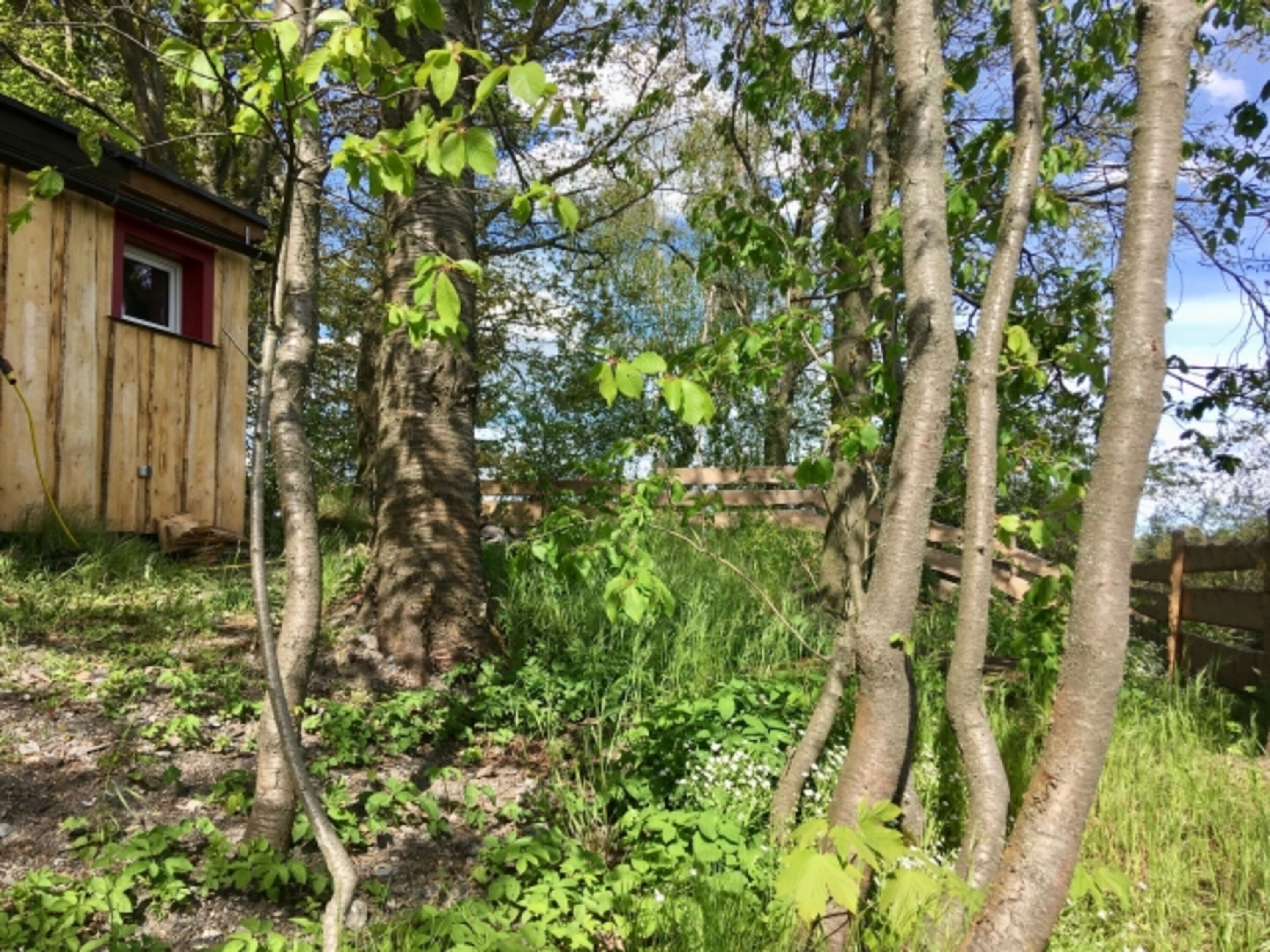 Hinterm Haus