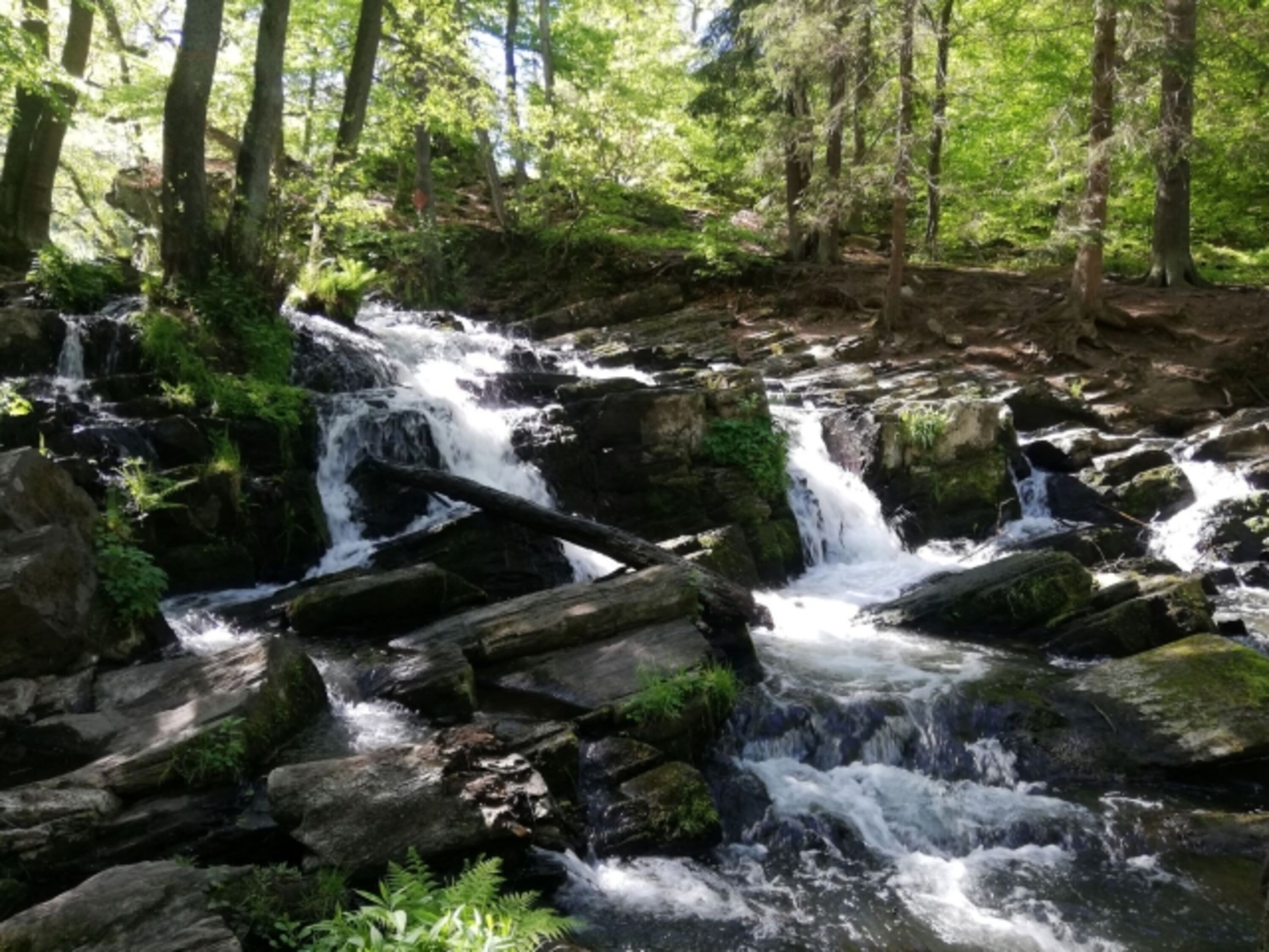 Der Selkewasserfall