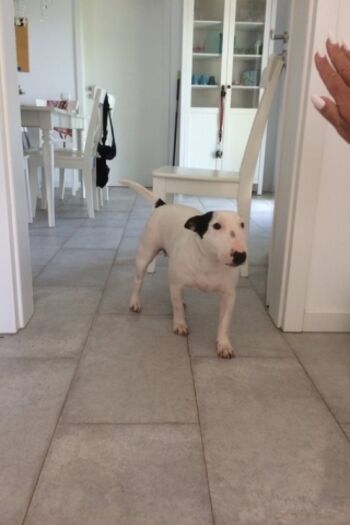 die Saarbrücker sind da