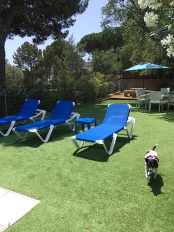 Paco erkundet das Revier