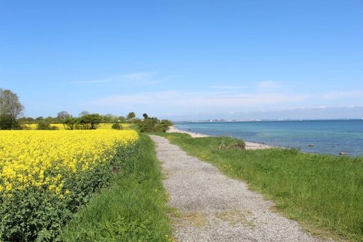 Spaziergang an der kleinen Steilküste zwischen Kraksdorf und Ostermade im Mai während der Rapsblüte