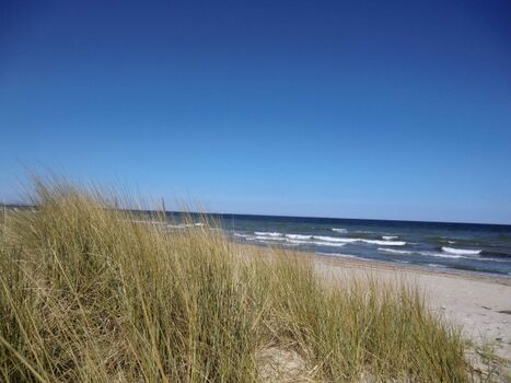 kurtaxefreier Sandstrand