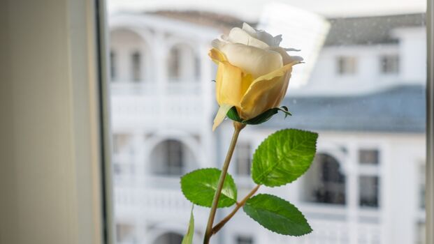 DAT Grote Sehnsucht Rügen Appartement