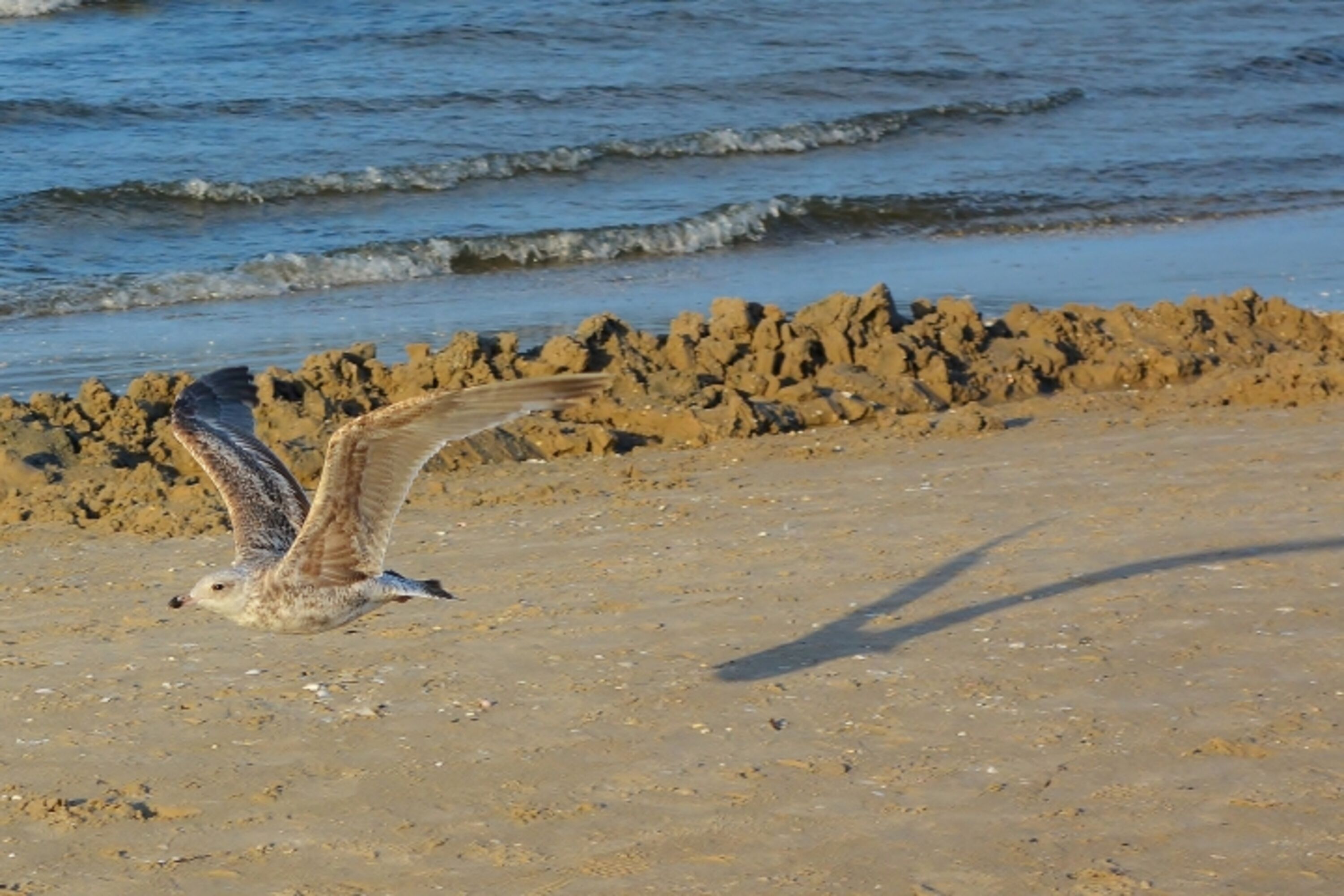Ostseebad Sellin