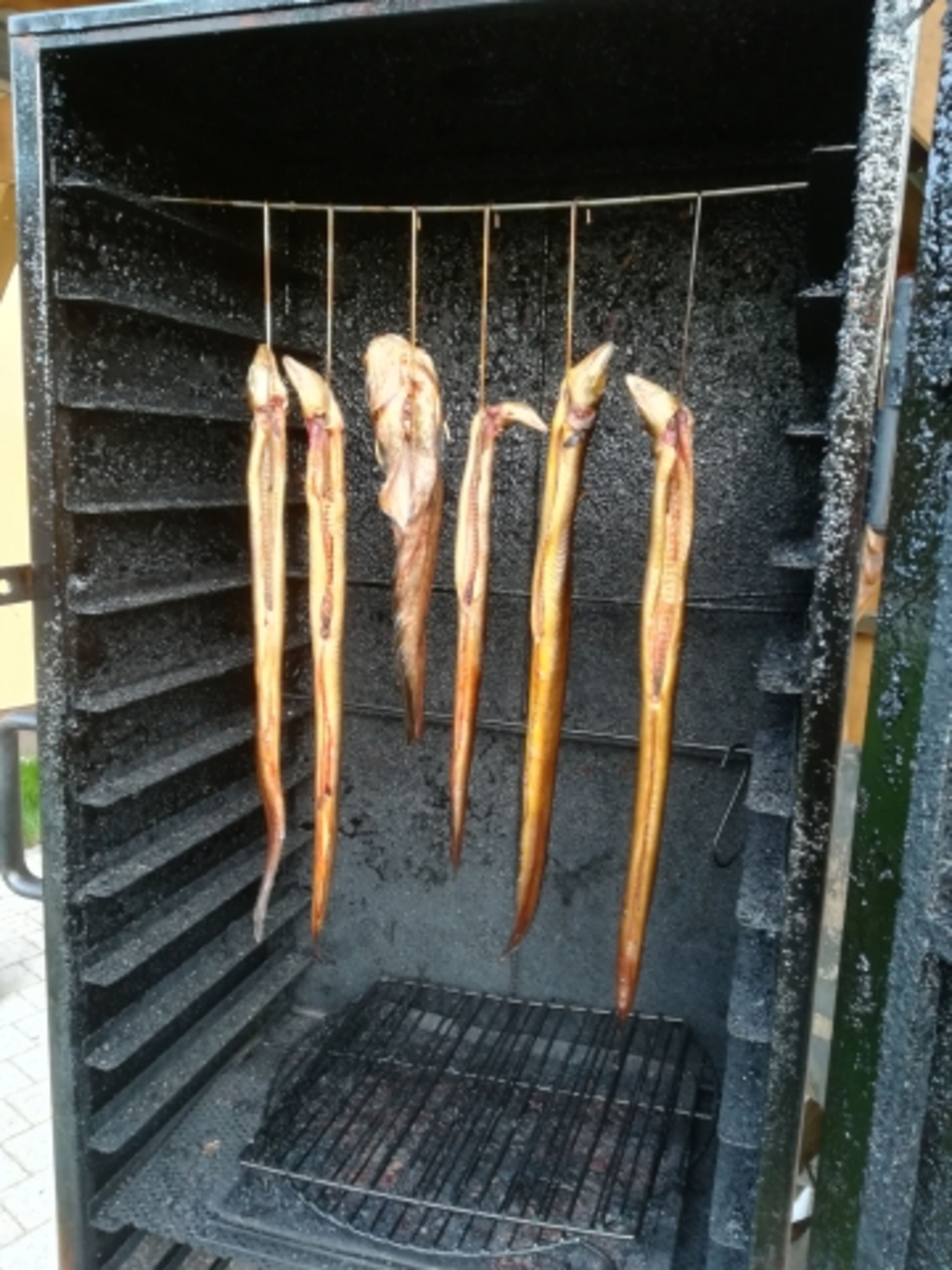 Anglerglück