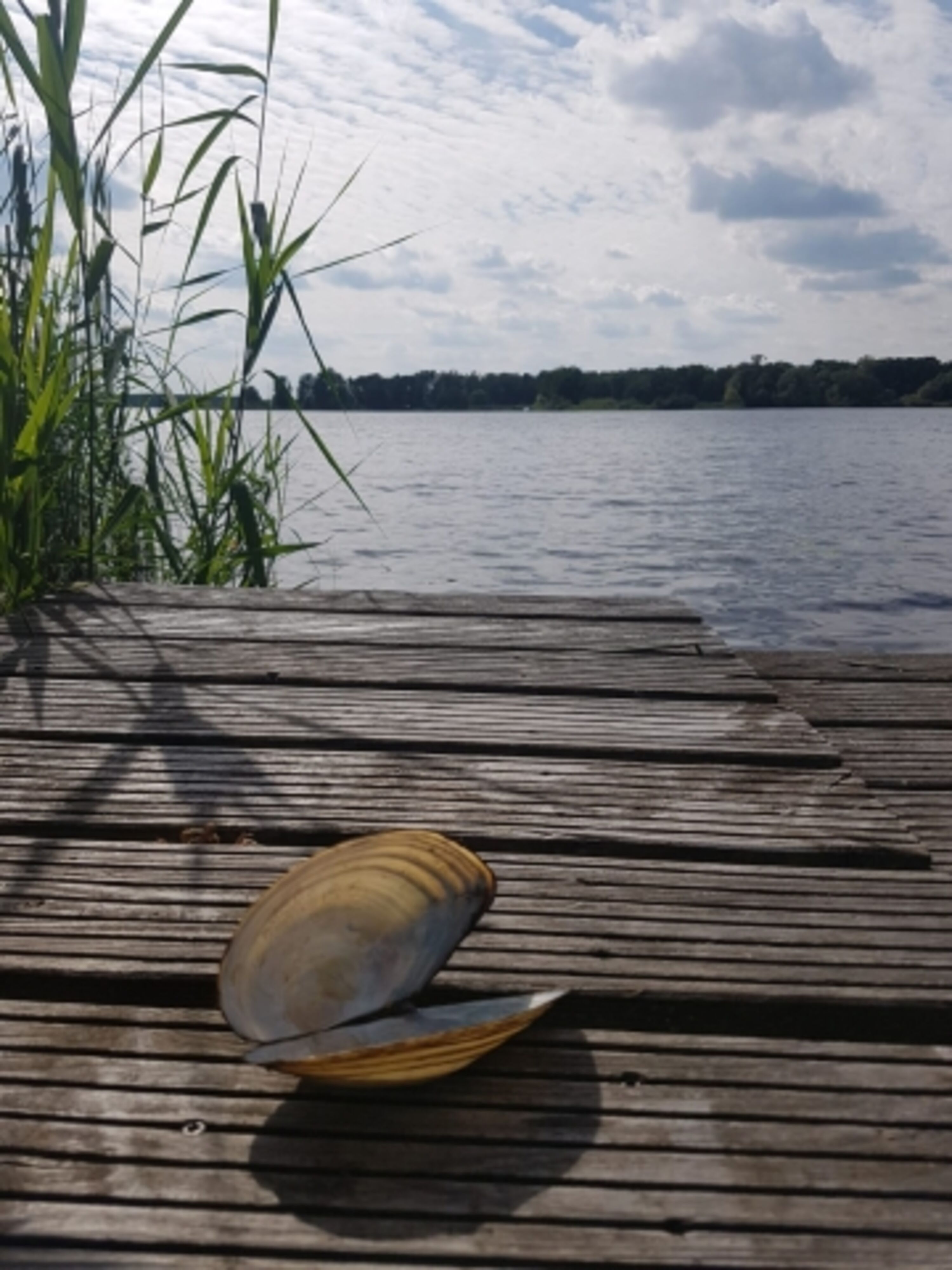 Am Neuendorfer See