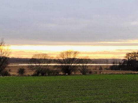 Blick aus dem Garten ins Naturschutzgebiet 