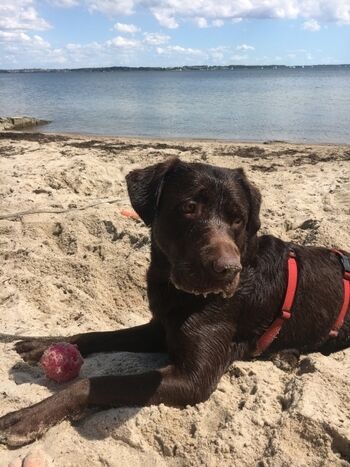 für Strandliebhaber*innen