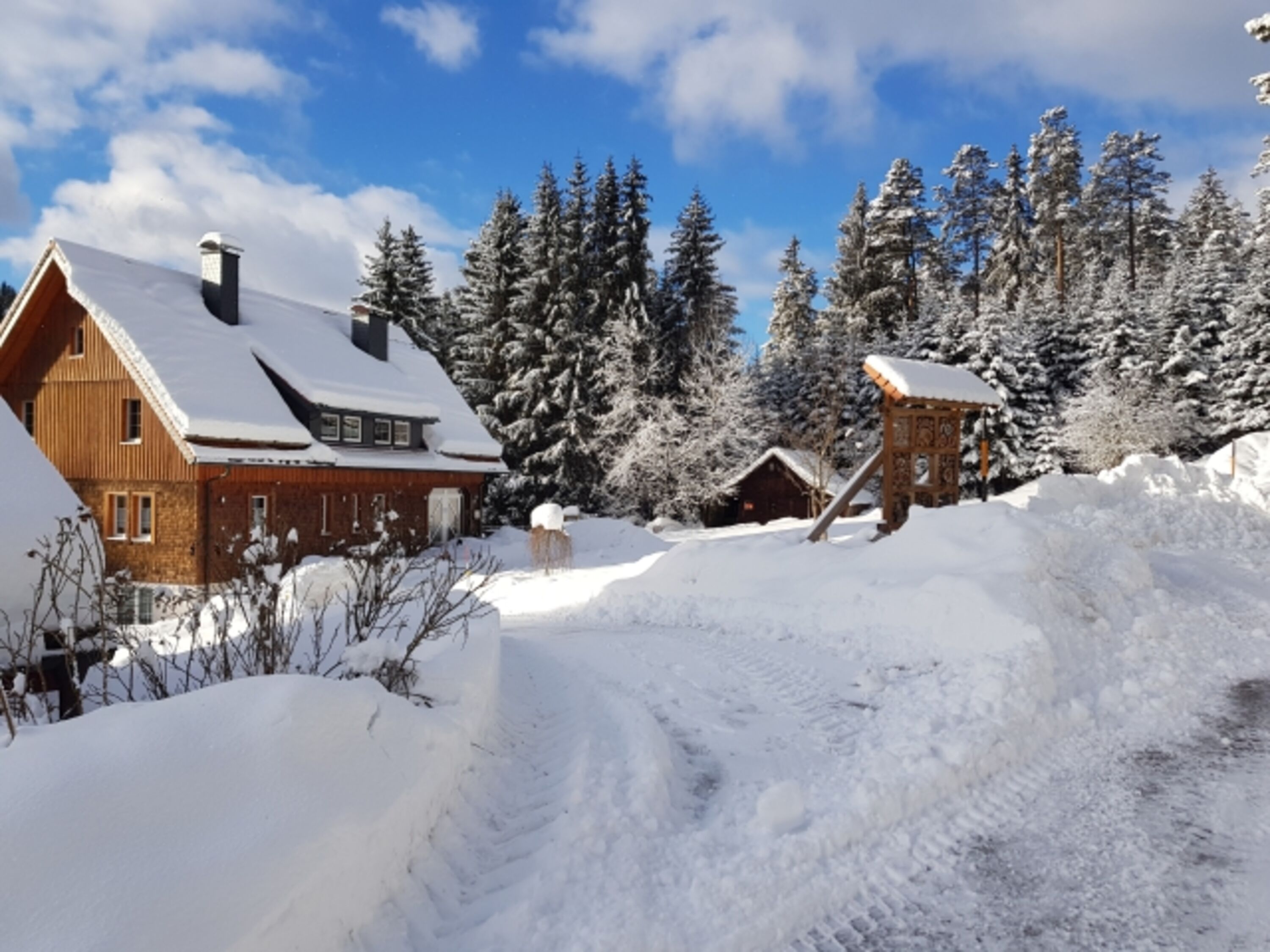 Einfahrt zum Haus