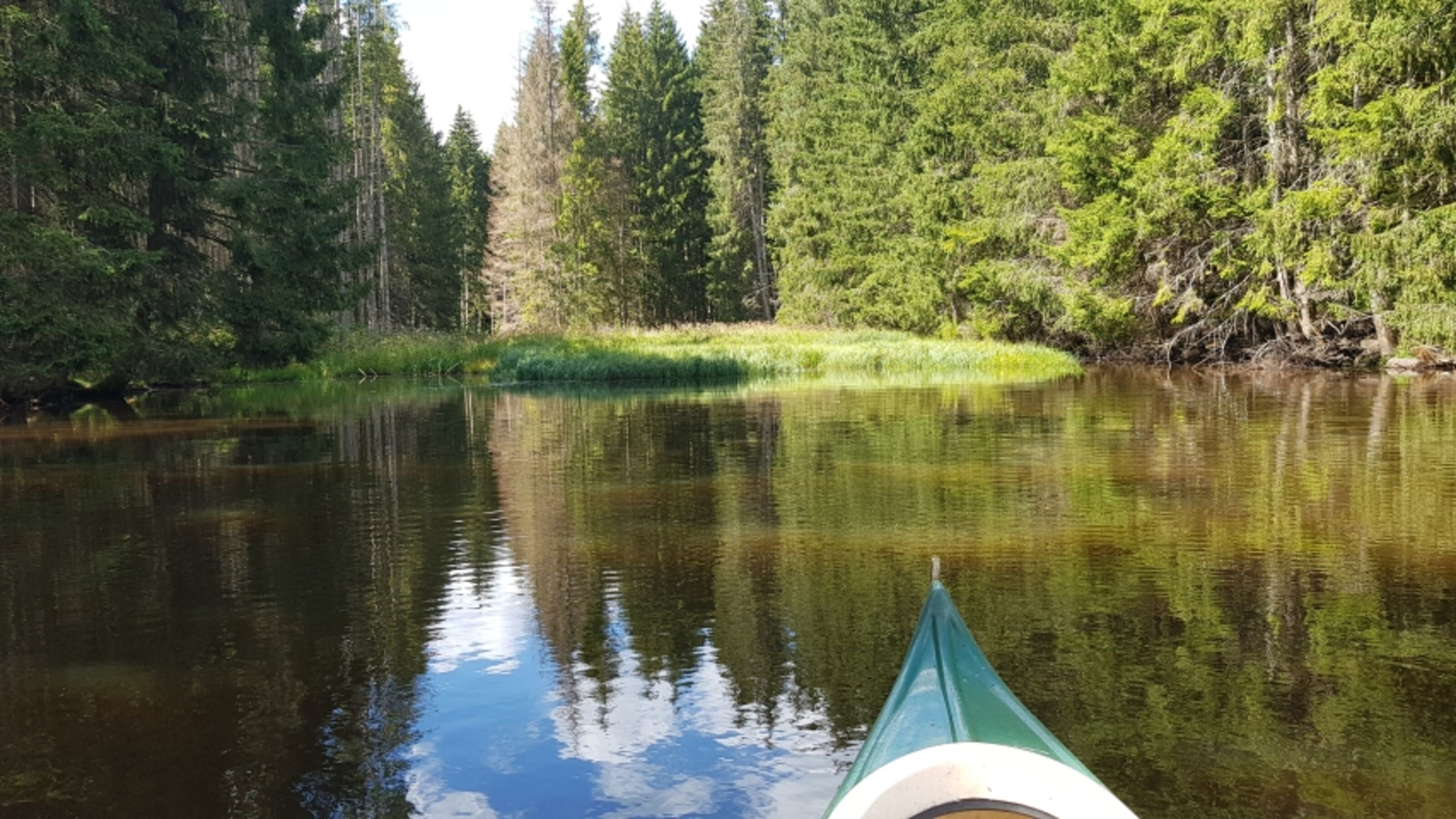 Weiher