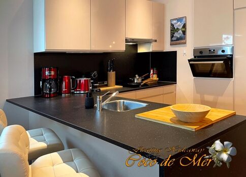 hochmoderne voll ausgestattete Küche - state-of-the-art and fully equipped kitchen