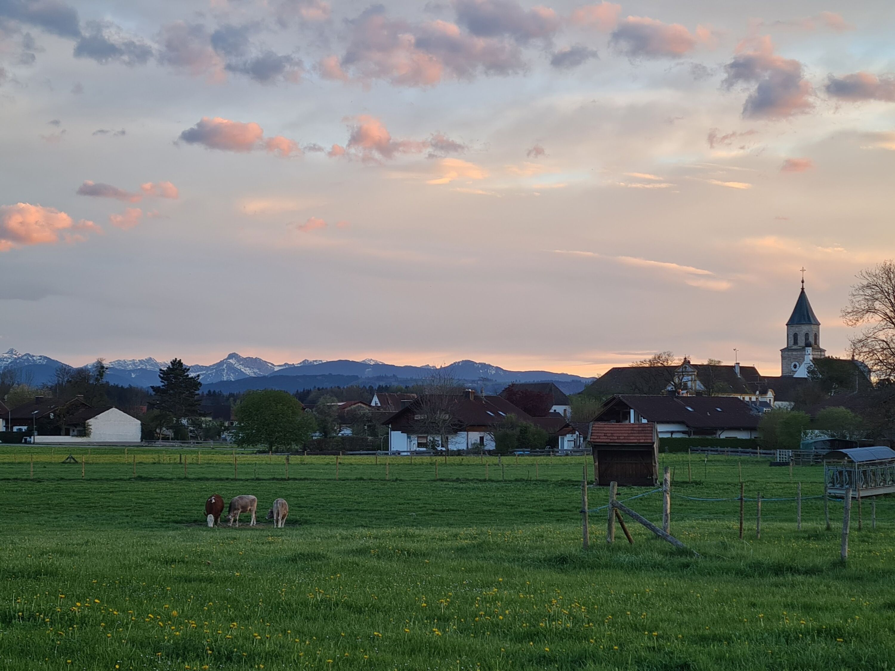 Klosterdorf Polling mit Alpenkulisse im Hintergrund