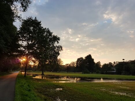 Naturimpressionen vor der Haustür