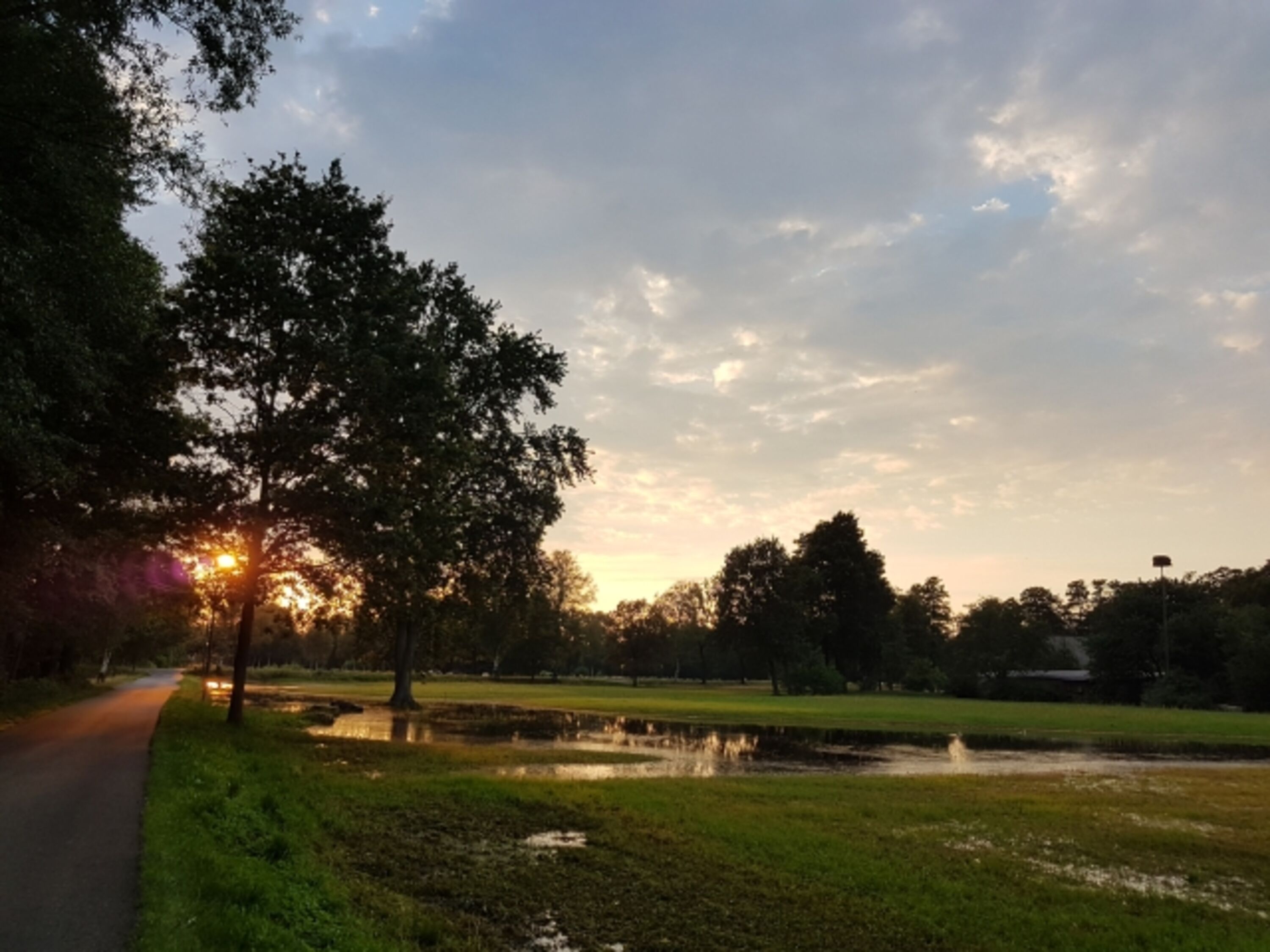 Naturimpressionen vor der Haustür