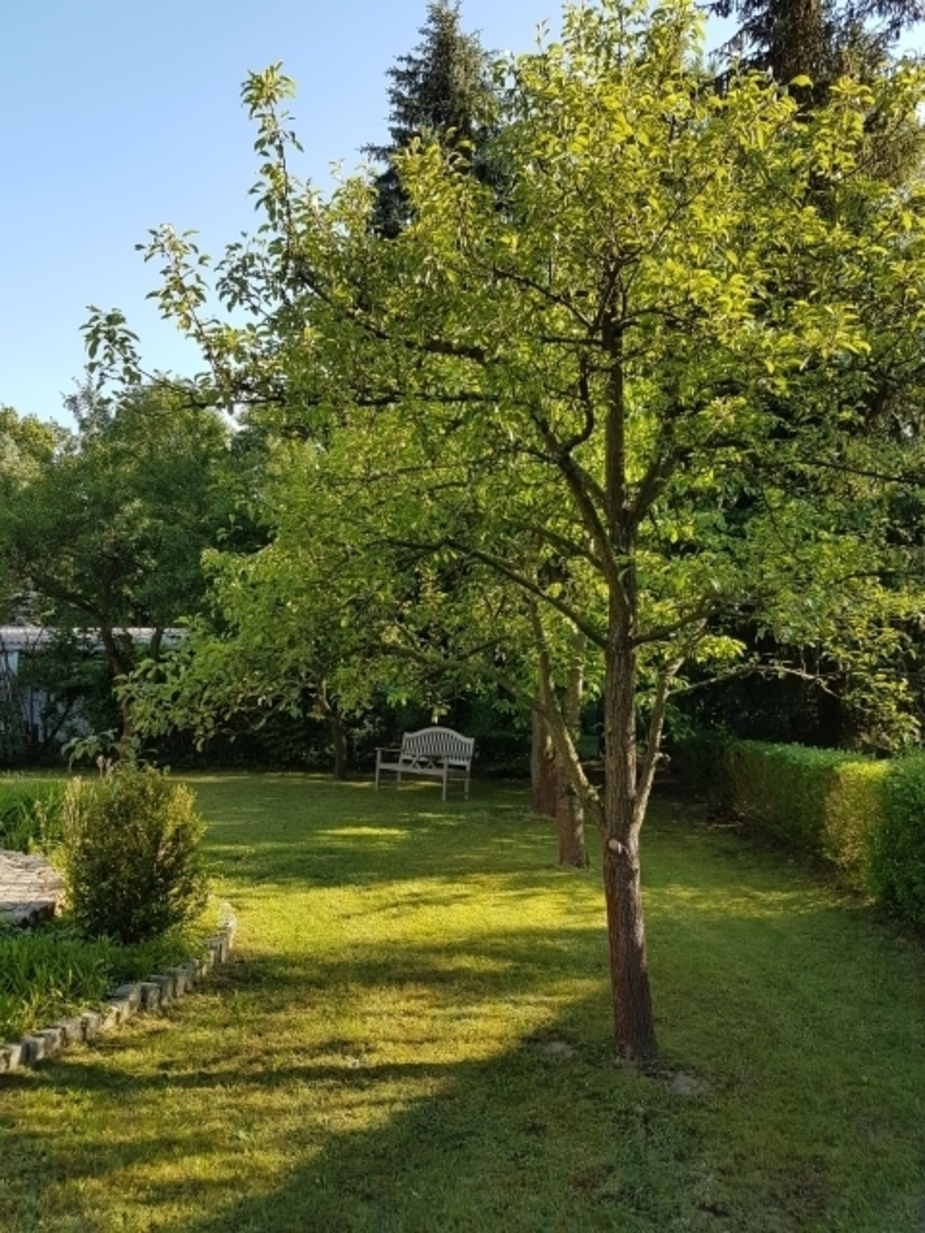 grosser Garten