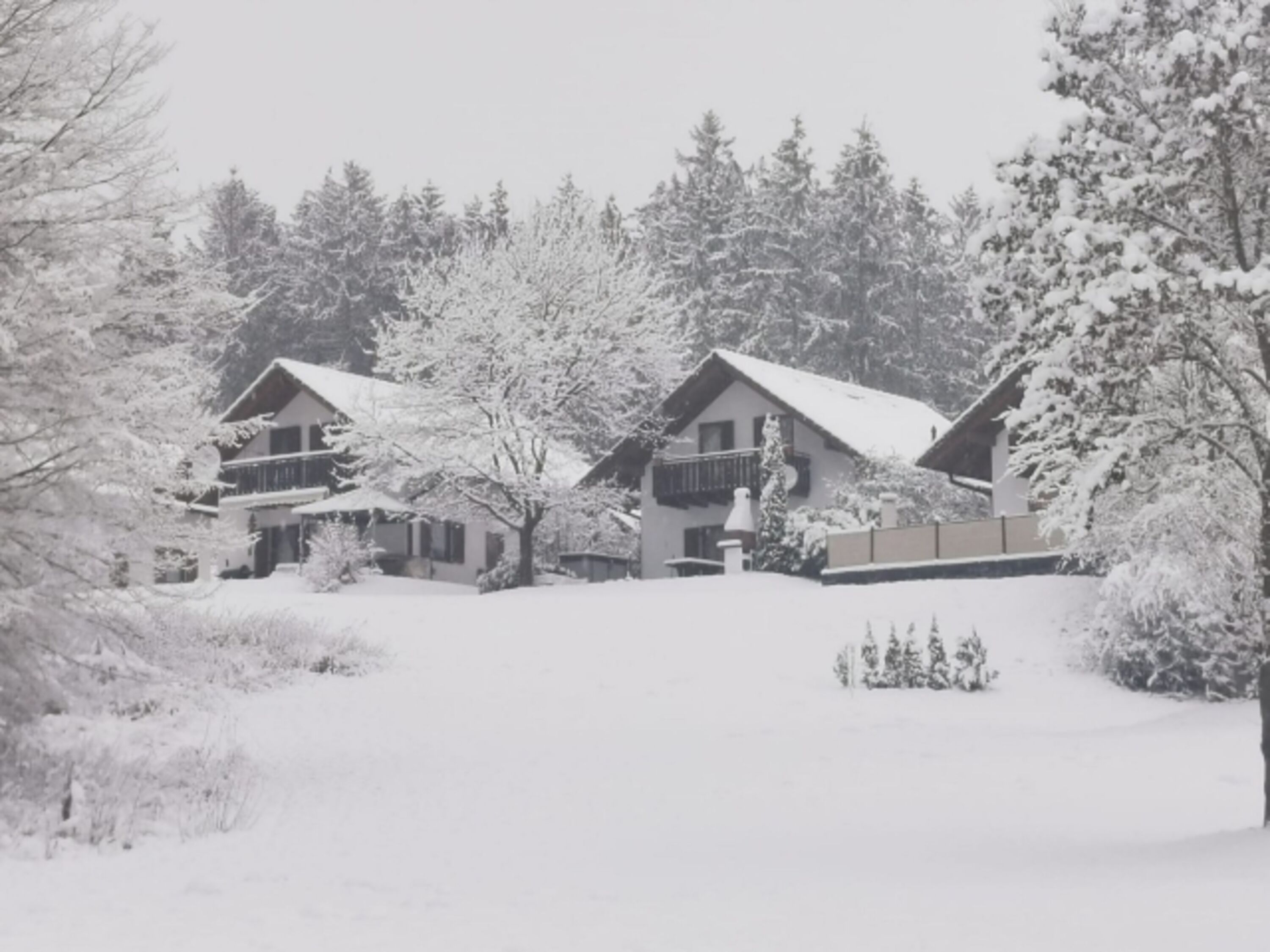 Schneelandschaft