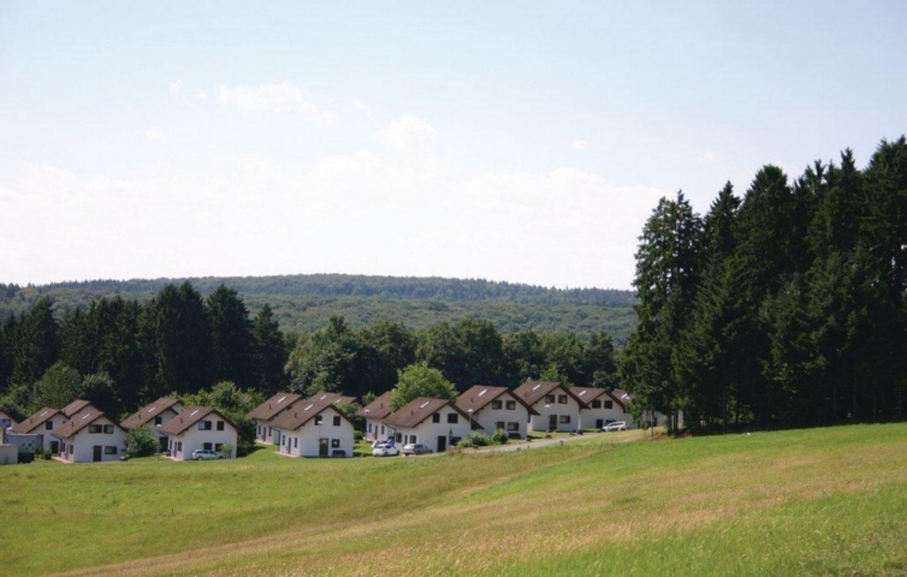 Waldlandschaft