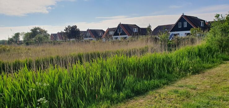 der Buitenplaats vom Naturschutzgebiet aus gesehen