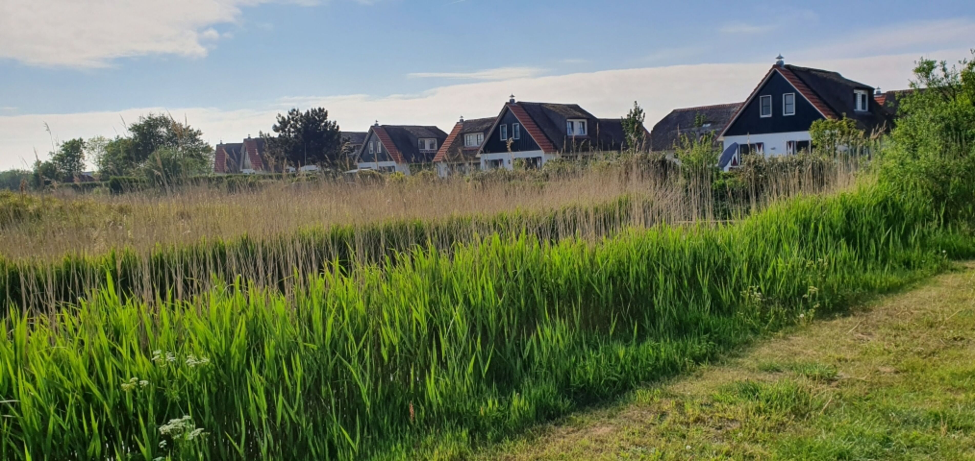 der Buitenplaats vom Naturschutzgebiet aus gesehen