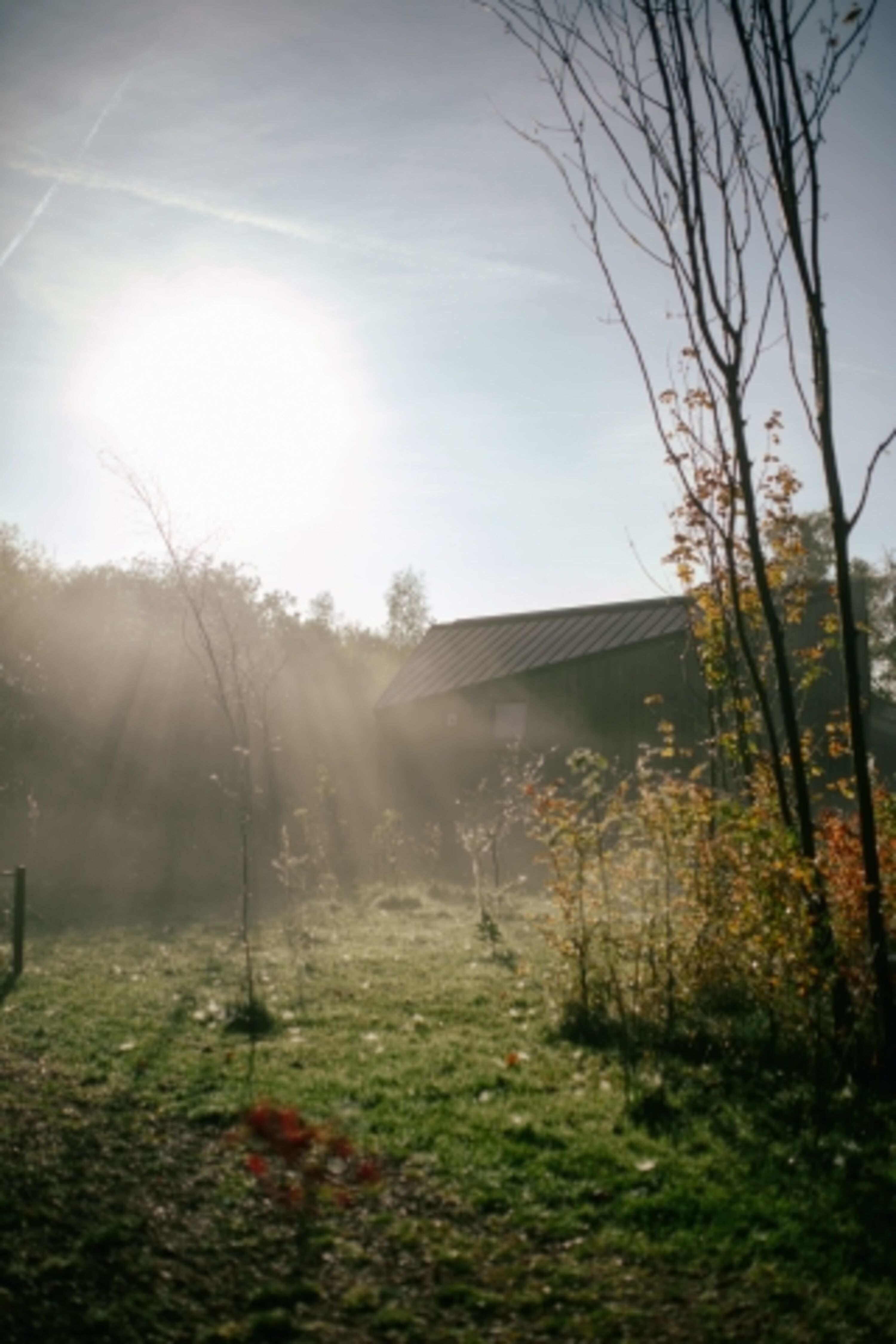 Bild 12