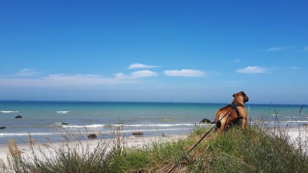 Urlaub an der Ostsee