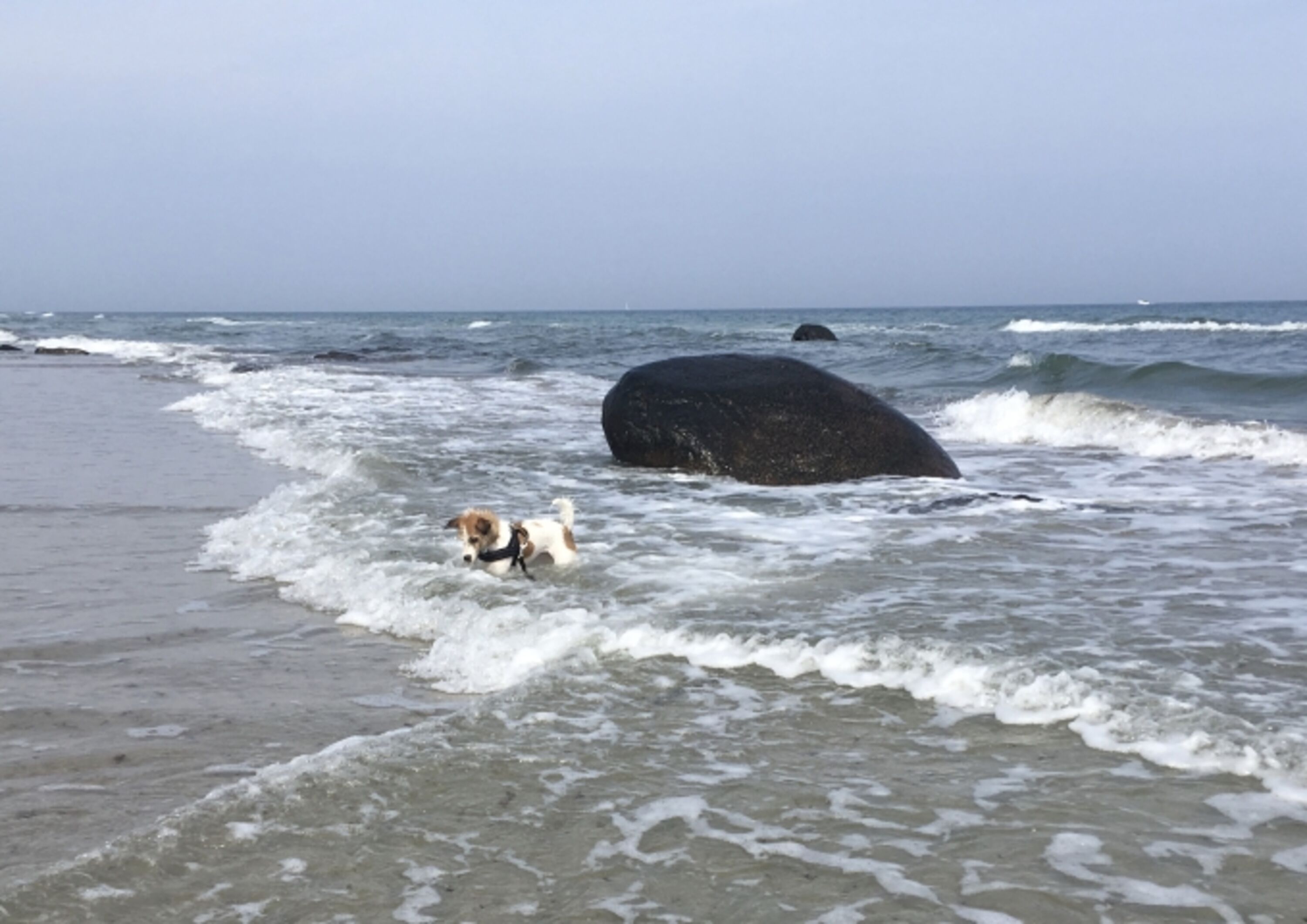 wo ist mein Ball