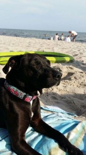 Impressionen vom Strand auf Fehmarn 