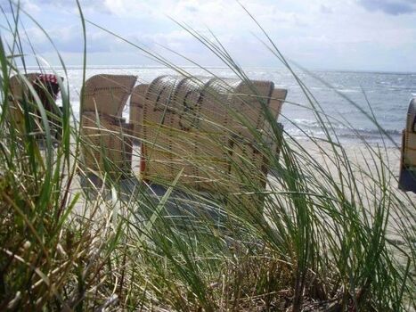 Impressionen vom Strand auf Fehmarn 