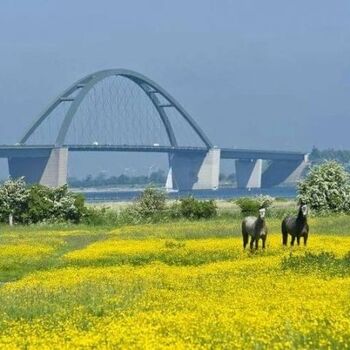 Impressionen vom Strand auf Fehmarn 
