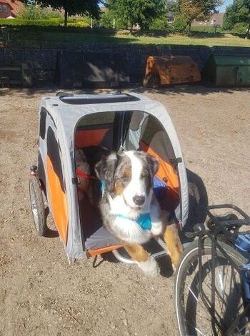 Impressionen vom Ferienhof 