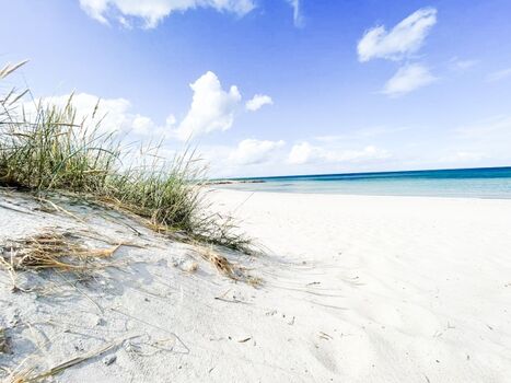 karibisches Flair an der Ostsee