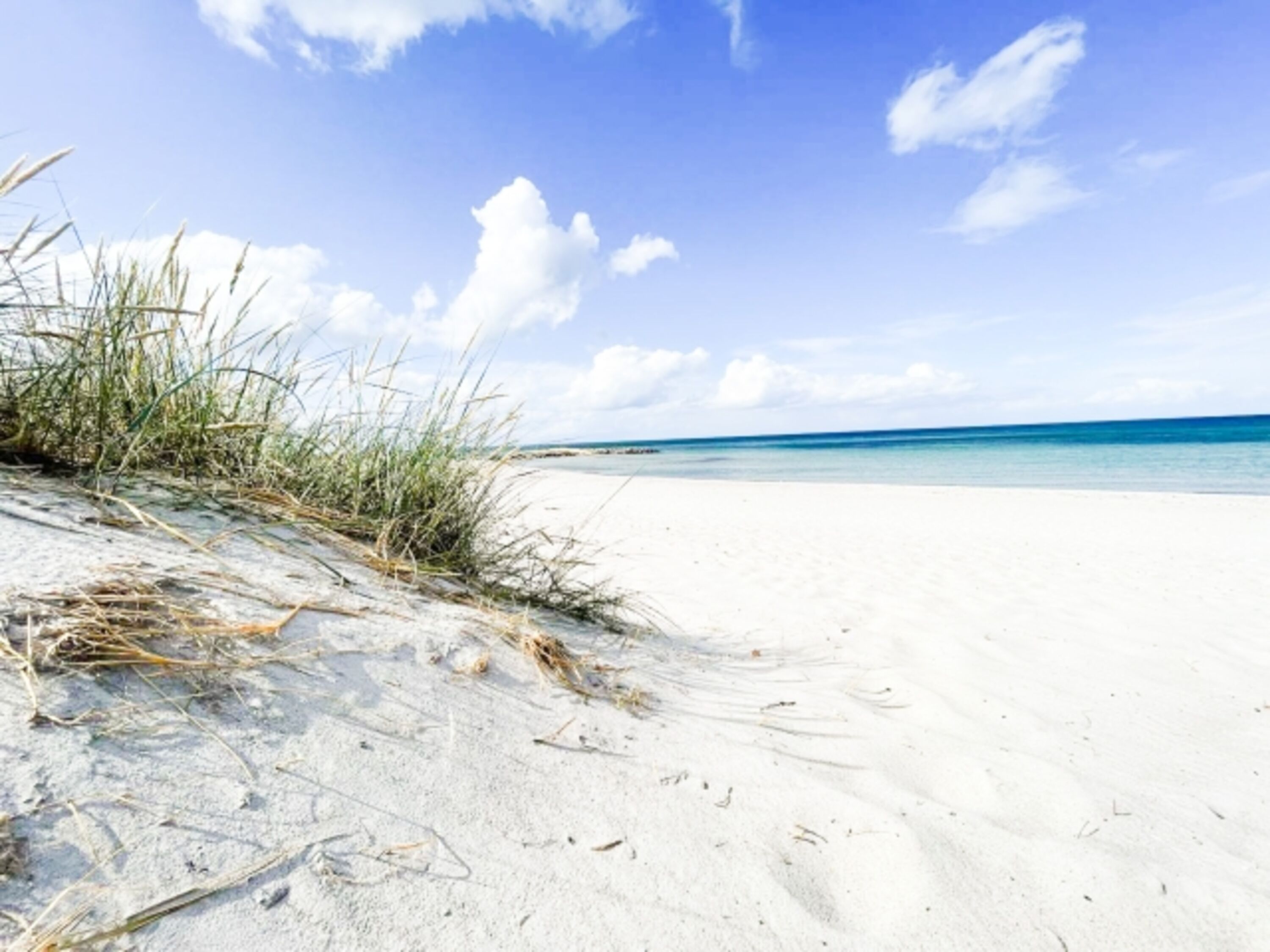 karibisches Flair an der Ostsee