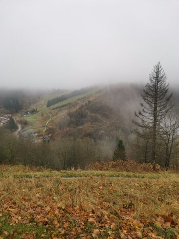 Umgebung vom Glockenberg
