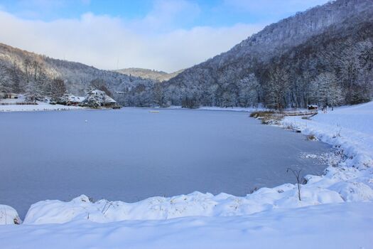 Winter am Waldsee